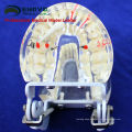 DENTAL07(12566) Transparent Adult Pathological Teeth Model for Dental Study and Communication